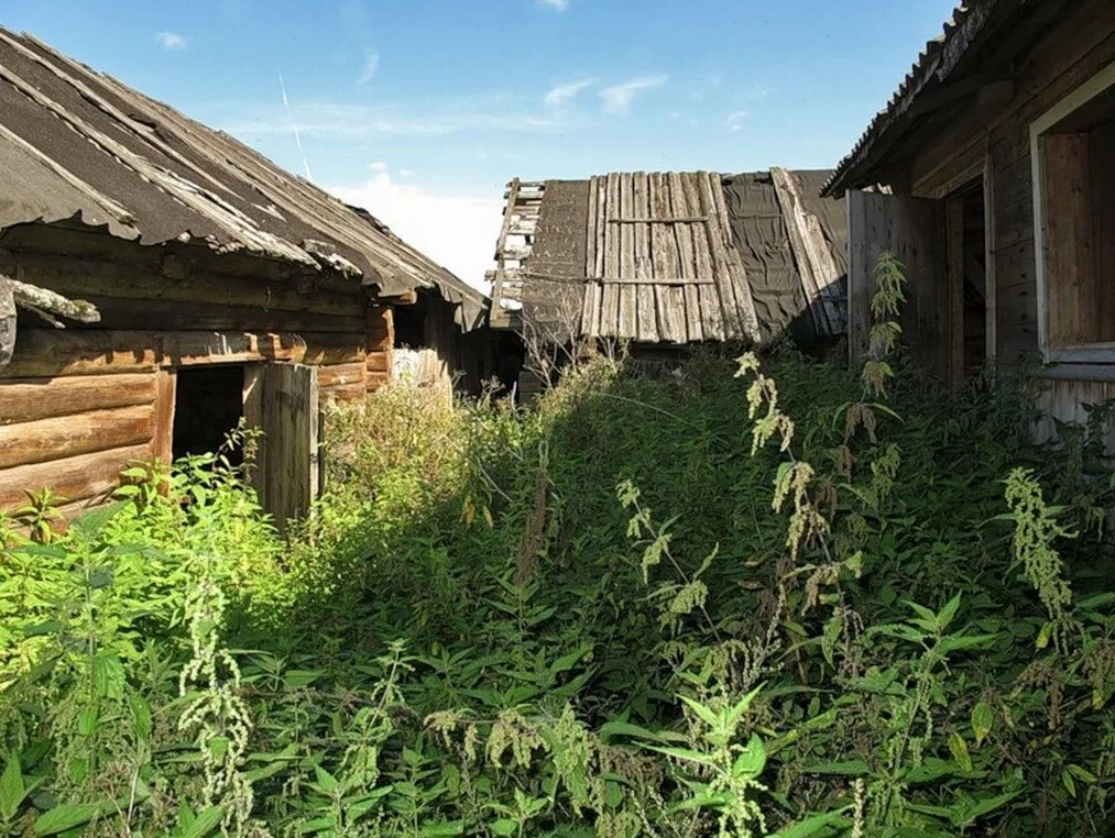 Пропавший из деревни в деревне